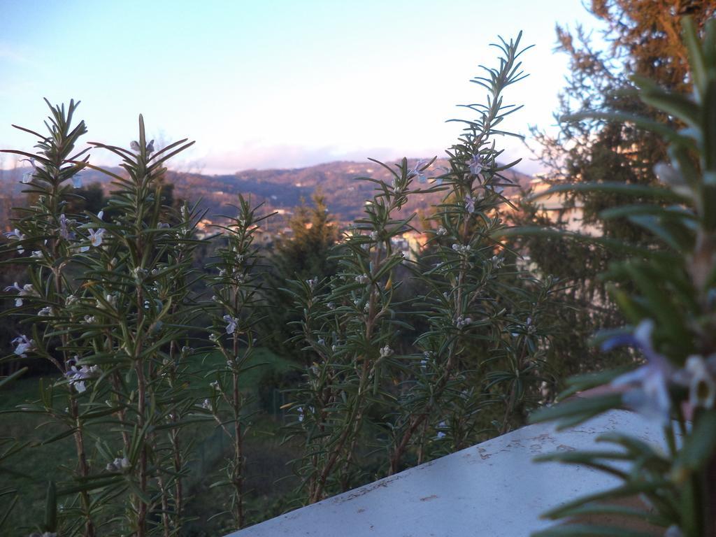 Apartment Montecatini-Terme Near Firenze, Lucca, Pisa Room photo